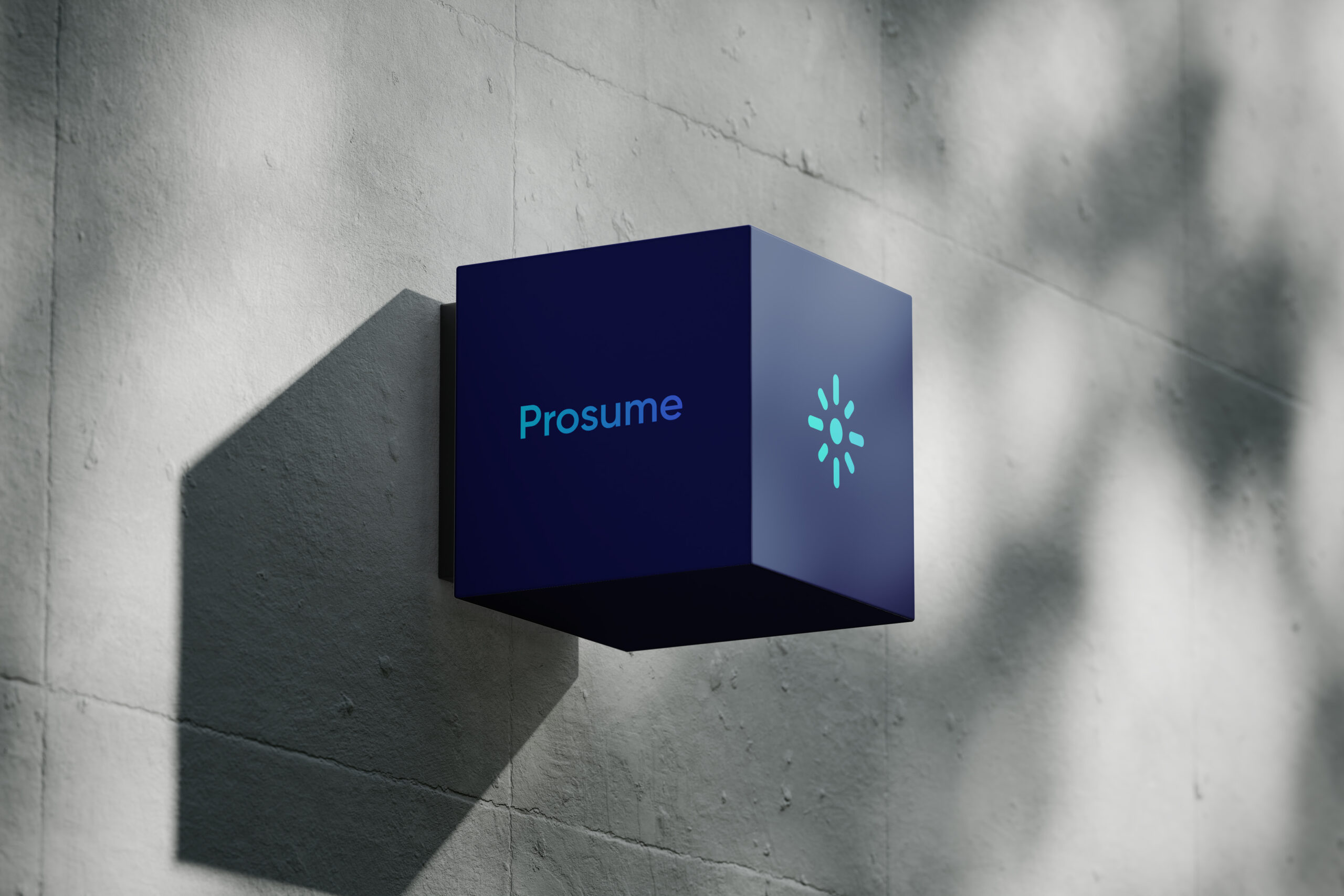 Prosume – od strategii do kompleksowego wdrożenia na rynek